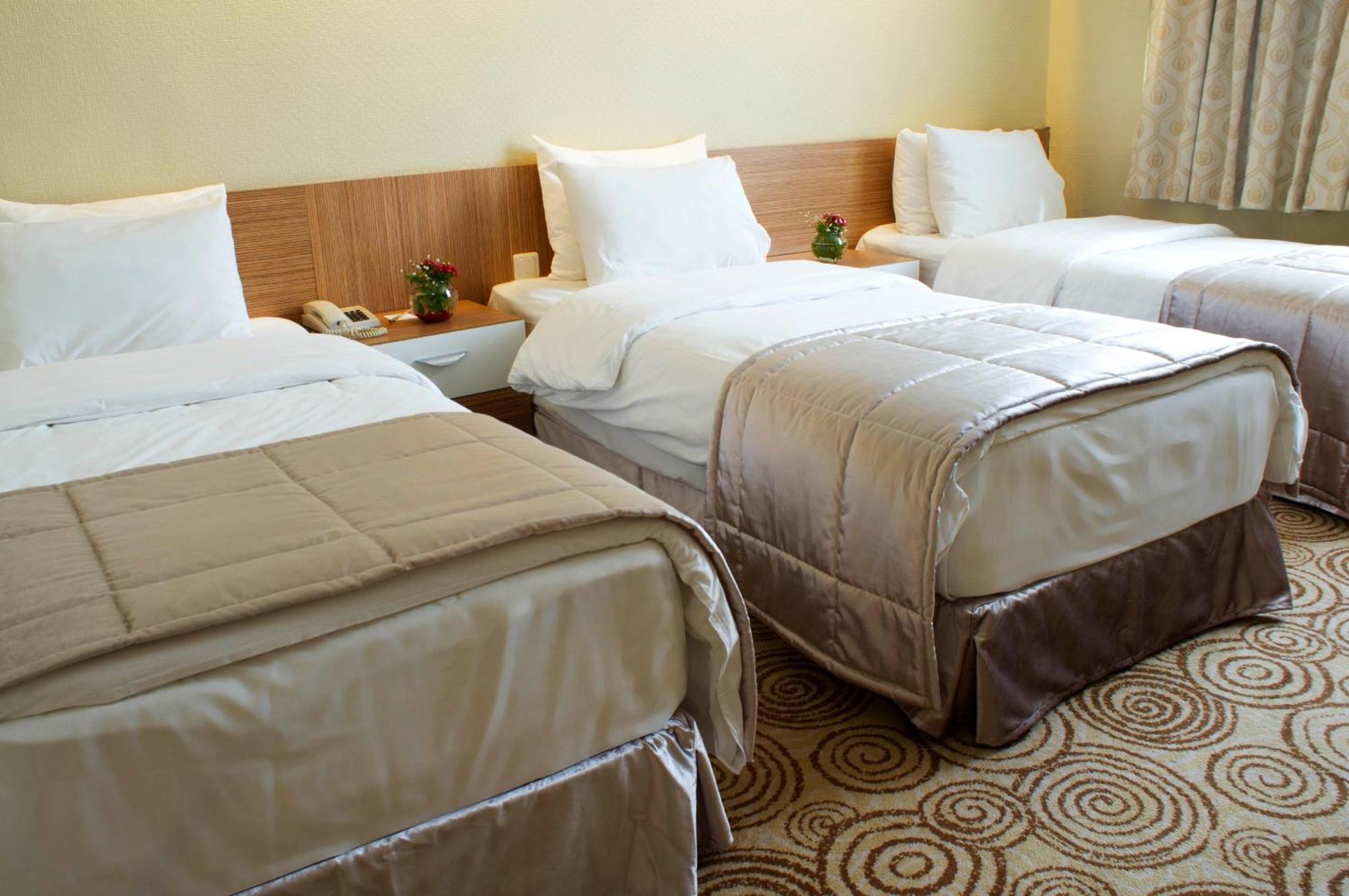 Elite Hotel Dragos Istanbul Ruang foto